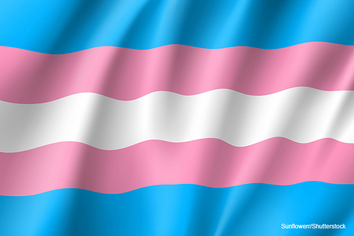 transgender flag